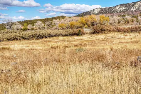 7050 Highway 65, Mesa, CO 81643 photo 41