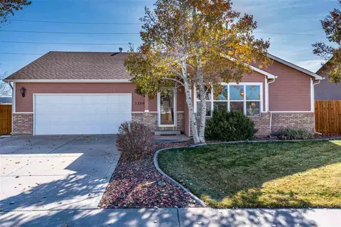 1260 Tara Dr, Fruita, CO 81521 photo 1