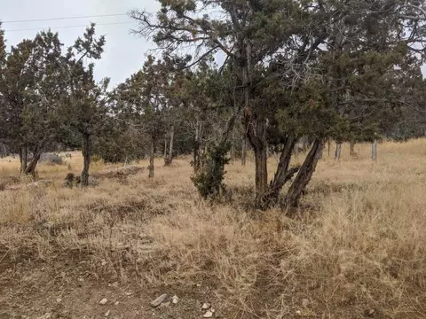 24822 Rhapsody Rd, Cedaredge, CO 81413 photo 37