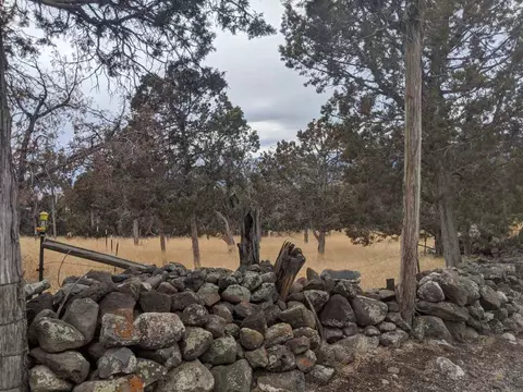 24822 Rhapsody Rd, Cedaredge, CO 81413 photo 34