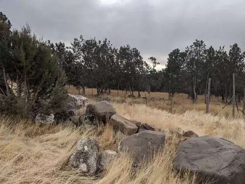 24822 Rhapsody Rd, Cedaredge, CO 81413 photo 36