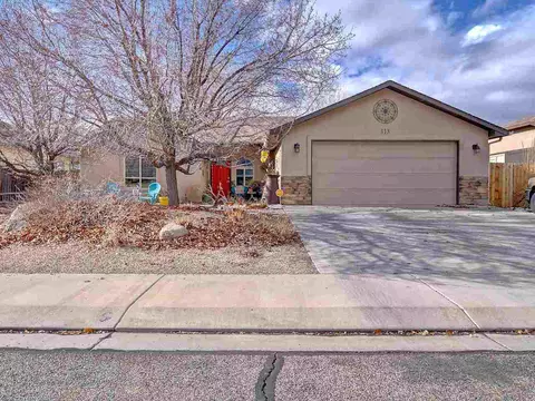 313 Arches Dr, Fruita, CO 81521 photo 4