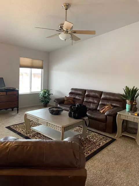272 Sargent Cir, Fruita, CO 81521 photo 4