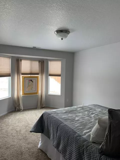 272 Sargent Cir, Fruita, CO 81521 photo 22