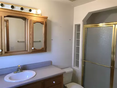 339 Crystal Ct, Fruita, CO 81521 photo 14