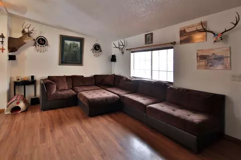 58764 Spring St, Collbran, CO 81624 photo 6