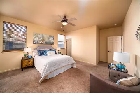 567 Cougar Run, Fruita, CO 81521 photo 22