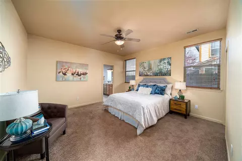 567 Cougar Run, Fruita, CO 81521 photo 21