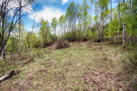 15738 Lariat Loop, Collbran, CO 81624 photo 7