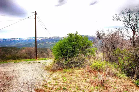 15738 Lariat Loop, Collbran, CO 81624 photo 8