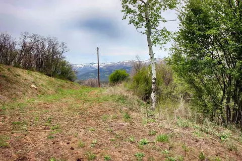 15738 Lariat Loop, Collbran, CO 81624 photo 6