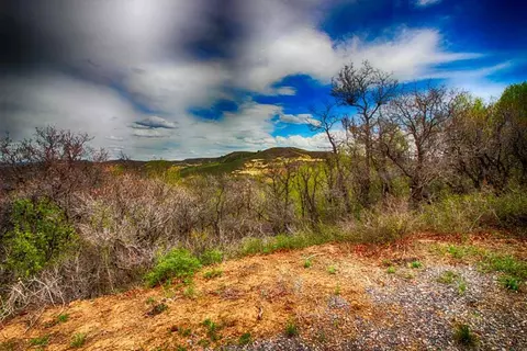 15738 Lariat Loop, Collbran, CO 81624 photo 2
