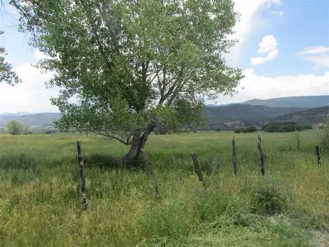 63850 E Highway 330, Collbran, CO 81624 photo 19