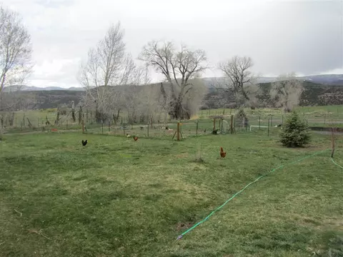 63850 E Highway 330, Collbran, CO 81624 photo 27