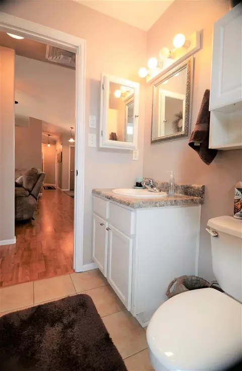 133 Sierra Dr, Fruita, CO 81521 photo 35