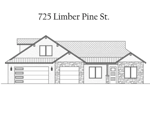 725 Limber Pine St, Fruita, CO 81521 photo 13