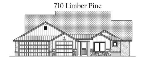 710 Limber Pine St, Fruita, CO 81521 photo 1