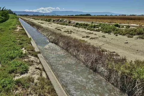 2025 L Rd, Fruita, CO 81521 photo 33