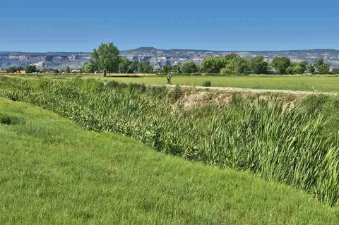 2025 L Rd, Fruita, CO 81521 photo 24