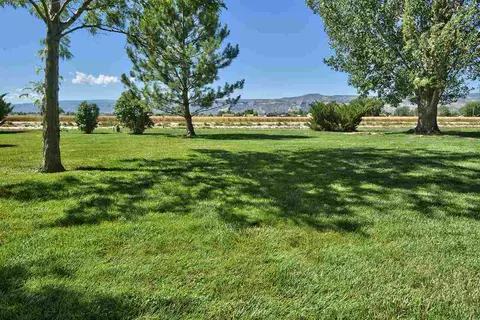 2025 L Rd, Fruita, CO 81521 photo 31