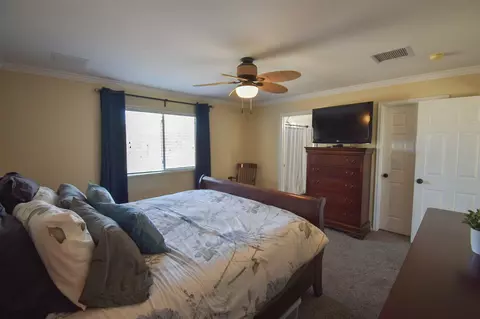 334 Crystal Ct, Fruita, CO 81521 photo 24
