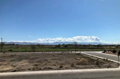 1485 Adobe Falls Way, Fruita, CO 81521 photo 13