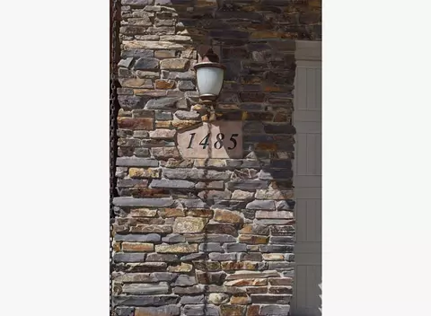 1485 Adobe Falls Way, Fruita, CO 81521 photo 27