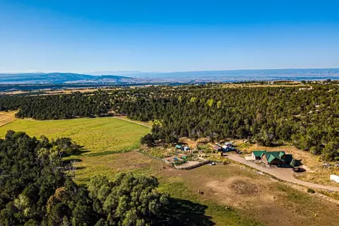 17586 2550 Rd, Cedaredge, CO 81413 photo 7