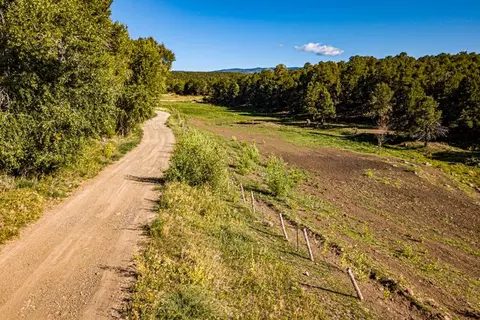 17586 2550 Rd, Cedaredge, CO 81413 photo 31