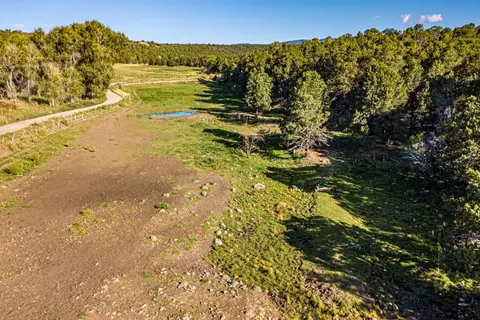 17586 2550 Rd, Cedaredge, CO 81413 photo 34