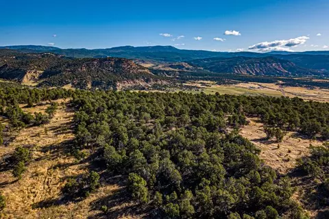 17586 2550 Rd, Cedaredge, CO 81413 photo 30