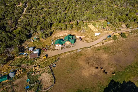 17586 2550 Rd, Cedaredge, CO 81413 photo 5