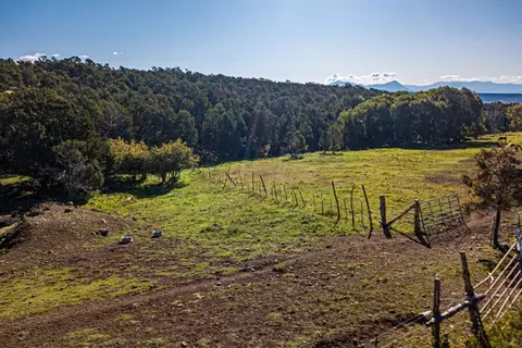 17586 2550 Rd, Cedaredge, CO 81413 photo 32
