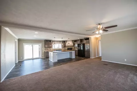 730 Serenity Ct, Mack, CO 81525 photo 2