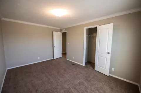 730 Serenity Ct, Mack, CO 81525 photo 14