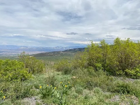 49164 Valley View Dr, Mesa, CO 81643 photo 2