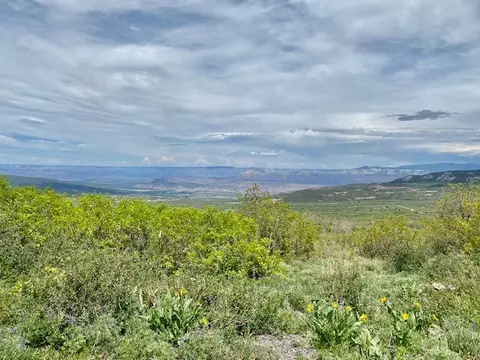 49164 Valley View Dr, Mesa, CO 81643 photo 1