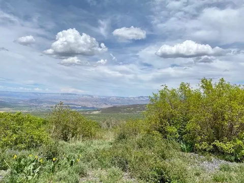 49164 Valley View Dr, Mesa, CO 81643 photo 3