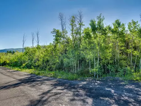 4928 Black Bear Ct, Mesa, CO 81643 photo 7