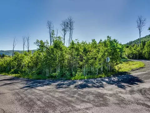 4928 Black Bear Ct, Mesa, CO 81643 photo 3