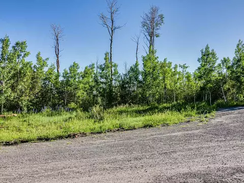 4928 Black Bear Ct, Mesa, CO 81643 photo 6