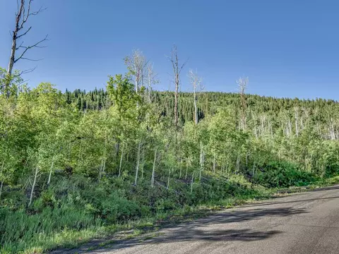 4928 Black Bear Ct, Mesa, CO 81643 photo 8