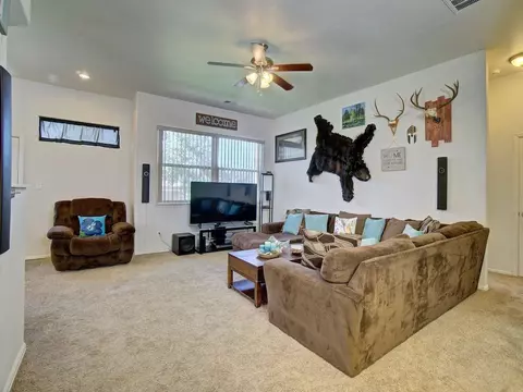 738 Gold Rush Dr, Fruita, CO 81521 photo 2