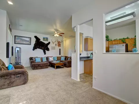 738 Gold Rush Dr, Fruita, CO 81521 photo 3