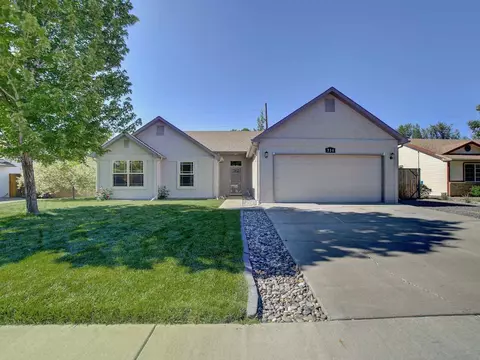 738 Gold Rush Dr, Fruita, CO 81521 photo 1