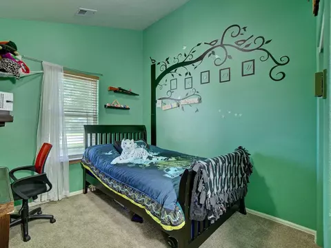 738 Gold Rush Dr, Fruita, CO 81521 photo 11