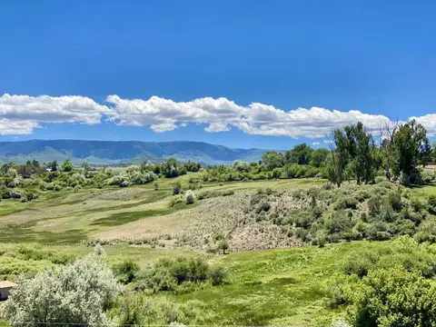 2002 Cedar Crest Ln, Collbran, CO 81624 photo 32