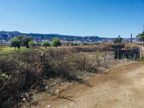 948 18 Rd, Fruita, CO 81521 photo 4