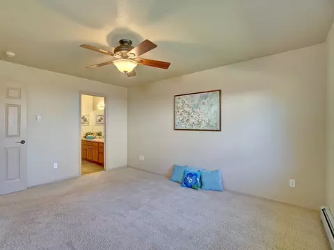 1209 Carolina Ave, Fruita, CO 81521 photo 14