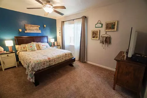 1071 E Pabor Ave, Fruita, CO 81521 photo 17